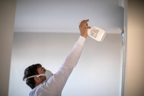 Best Residential Mold Removal  in Remlap, AL