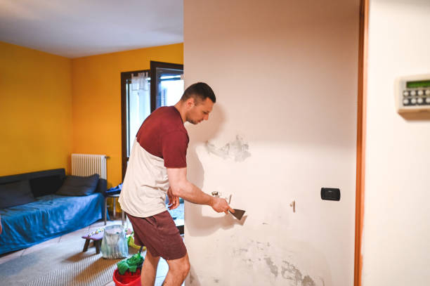Best Professional Mold Removal  in Remlap, AL